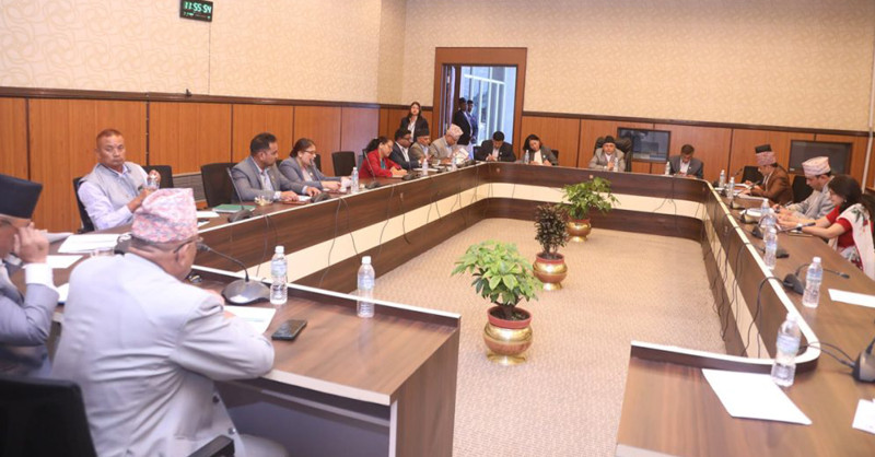 कुलिङ पिरियड प्रकरणको छानबिन गर्न गठन भयो विशेष संसदीय समिति, को को छन् सदस्य ?