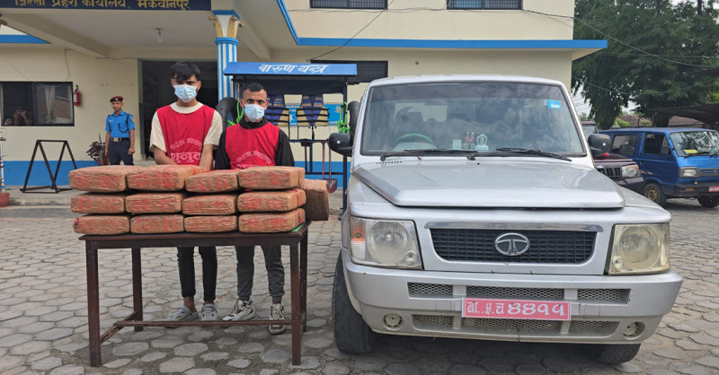 ८० किलो लागुऔषध गाँजासहित २ जना पक्राउ