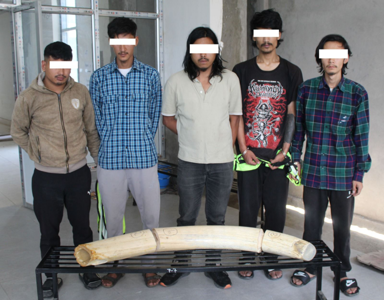 राष्ट्रपति कार्यालयबाट हात्तीको दाह्रा चोर्ने ५ जना पक्राउ