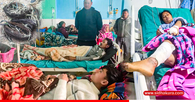 कैलालीमा विद्युतीय धरापमा परेर तीन जना घाइते,  आशंकामा एक जना पक्राउ