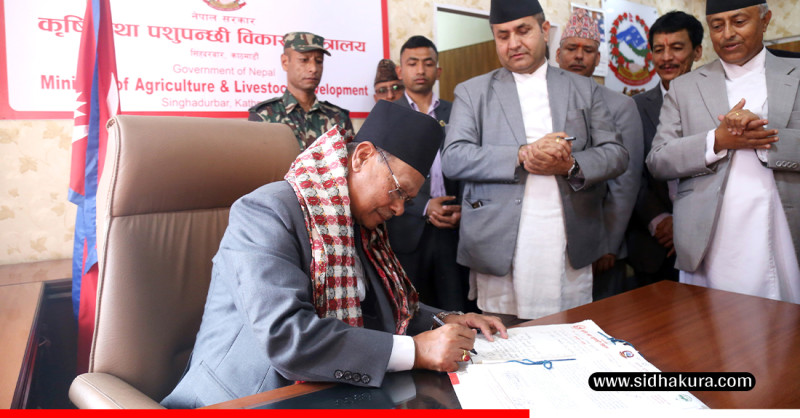 कृषिमन्त्रीको निर्णयः आलु र धान बालीमा अनुसन्धान गर्न यसअघि कोरियासँग भएको सम्झौता कार्यान्वयन गर्ने