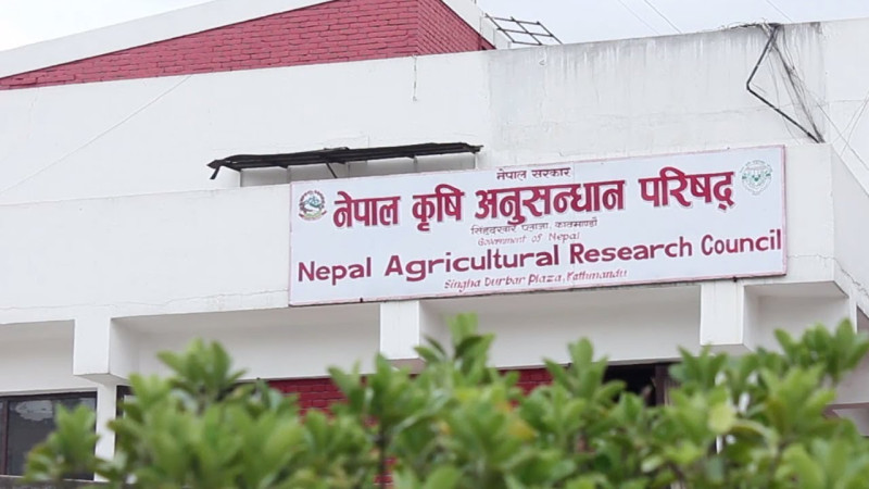 नेपाल कृषि अनुसन्धान परिषद्को सदस्य पदका लागि रोस्टर सूचीमा आवेदन खुला