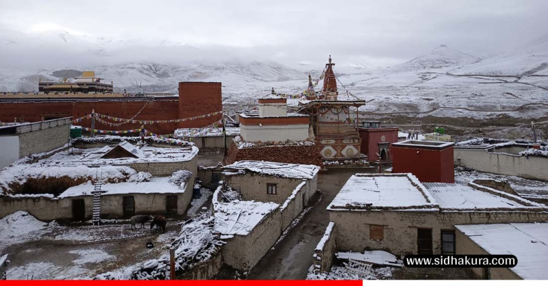मुस्ताङमा बाढी बस्तीमै पसेपछि १२ च्याङ्ग्रा मरे, सिँचाइ कुलो र खानेपानीमा समेत क्षति
