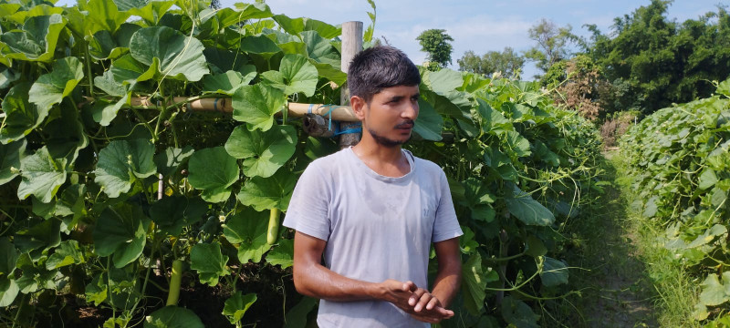 २२ वर्षअघि बाबुले सुरु गरेको सागसब्जी उत्पादनलाई छोराको निरन्तरता, मासिक दुई लाख आम्दानी