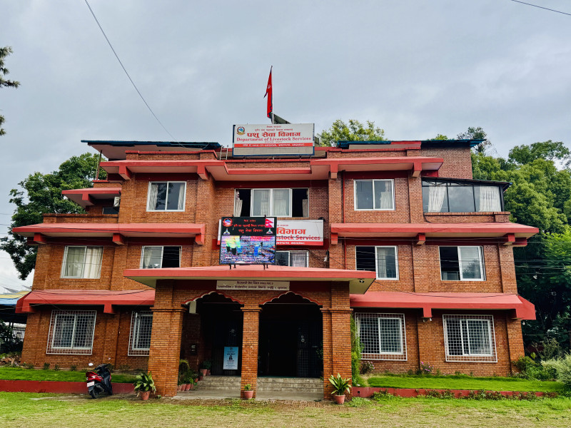अब पशुपन्छीको वध गर्नुअगाडि र गरेपछि अनिवार्य मेडिकल जाँच गर्नुपर्ने