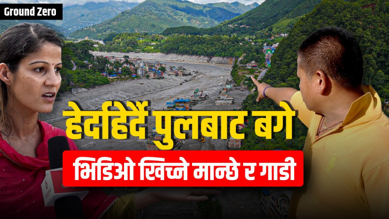 हेर्दाहेर्दै पुलबाट बगे भिडिओ खिच्ने मान्छे र गाडी