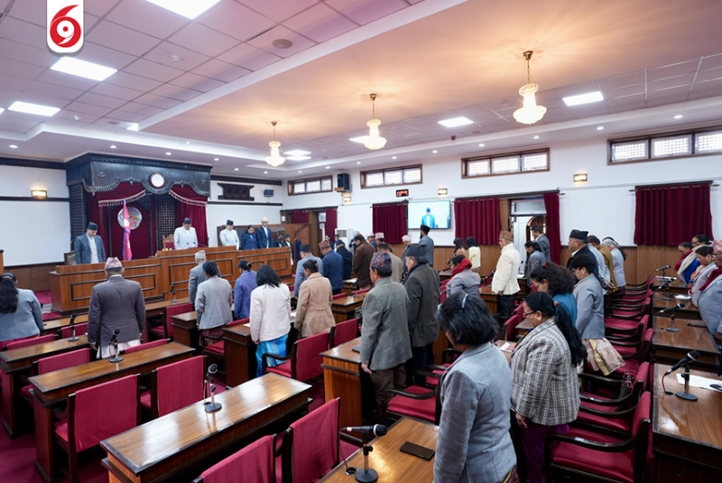 प्रतिनिधि सभा उम्मेदवार लड्न राष्ट्रियसभाका तीन सदस्यद्वारा राजीनामा