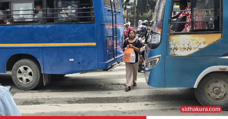 जेब्रा क्रसिङमा समेत जोखिममा छ ज्यान (तस्विरहरु)