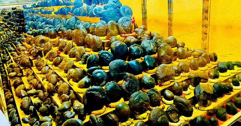 धार्मिक पर्यटकका लागि आकर्षक गन्तव्य बन्दै शालग्राम सङ्ग्रहालय