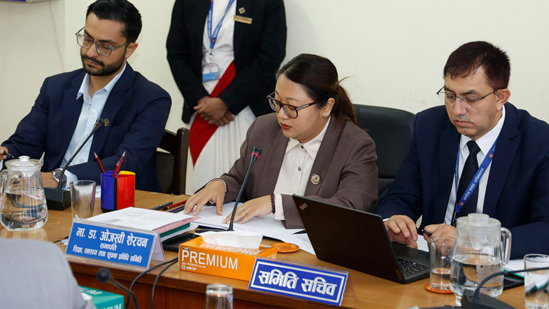सदनले नसकेको सांसदको हाजिरी विवरण रास्वपा सांसदले सम्हालेको शिक्षा समितिले सार्वजनिक गर्ने