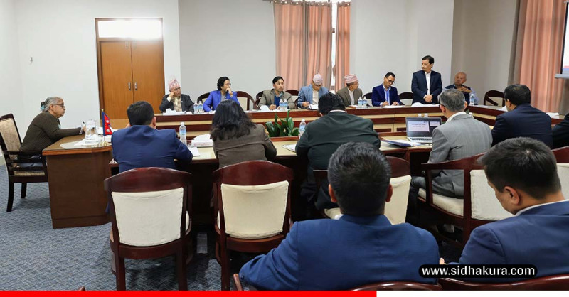 वायुसेवा निगमका बेथिति अन्त्यबारे गम्भीर हुन प्रधानमन्त्री कार्कीको निर्देशन