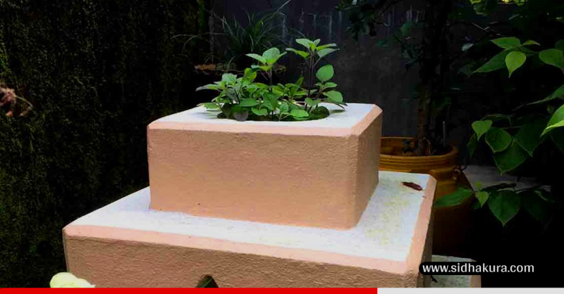ज्येष्ठ शुक्ल एकादशीः घरघरका मठमा तुलसीको दल राखिँदै