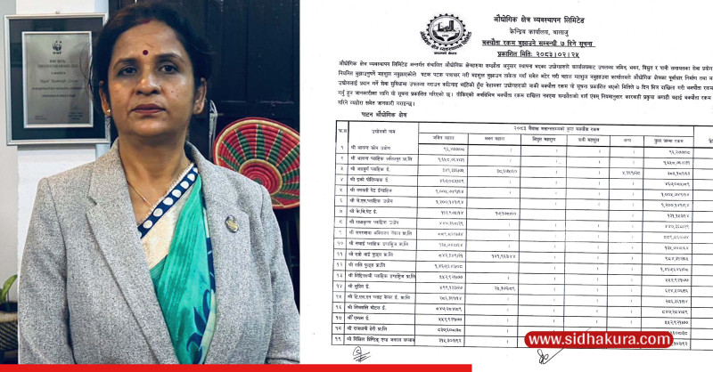 यी उद्योगले तिरेनन् राज्यलाई करोडौँ भाडा, एक सातामा नबुझाए सिल गर्ने चेतावनी (सूचिसहित)
