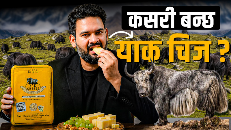 कसरी बन्छ याक चिज ?