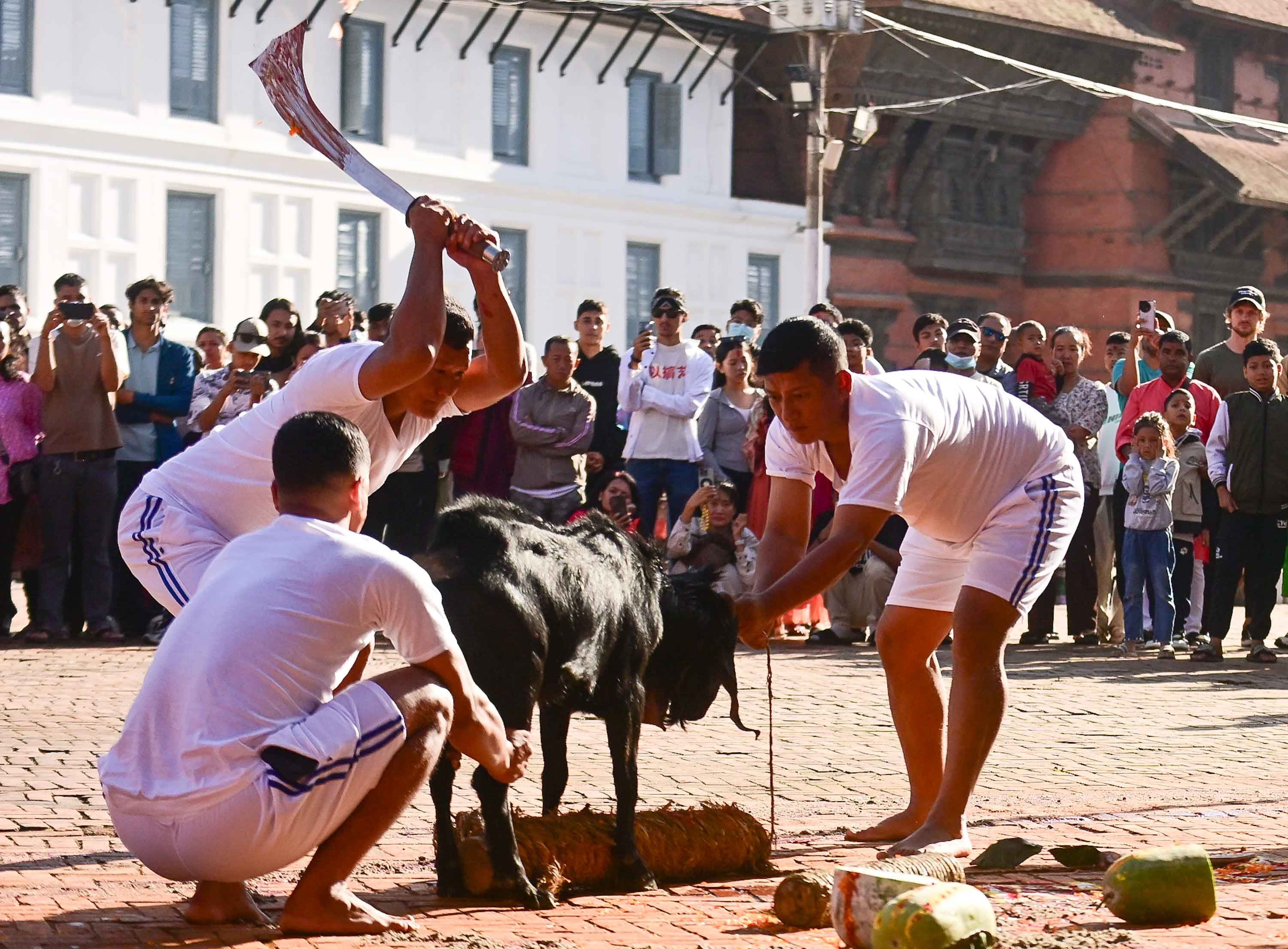 Bali_sidhakura16-1759290664.jpeg