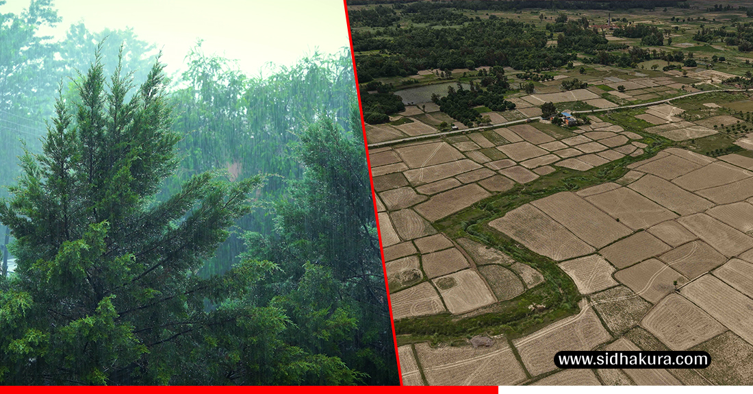 काठमाडौँसहित ठाउँठाउँमा वर्षा, तराईमा आज पनि परेन पानी