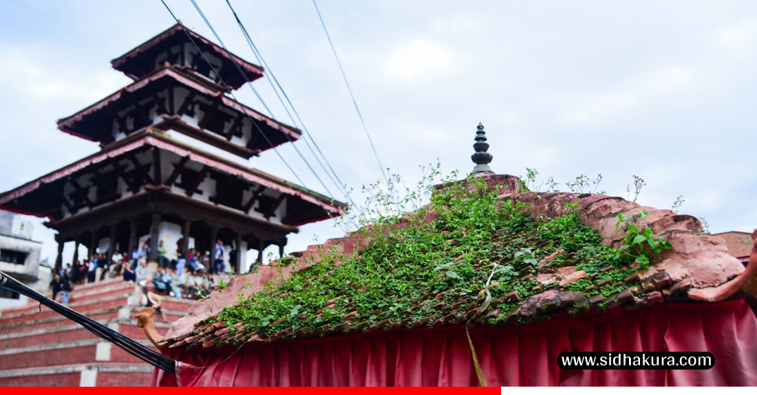 Basantapur-ma-jhar-palayo-1-1755495812.jpg