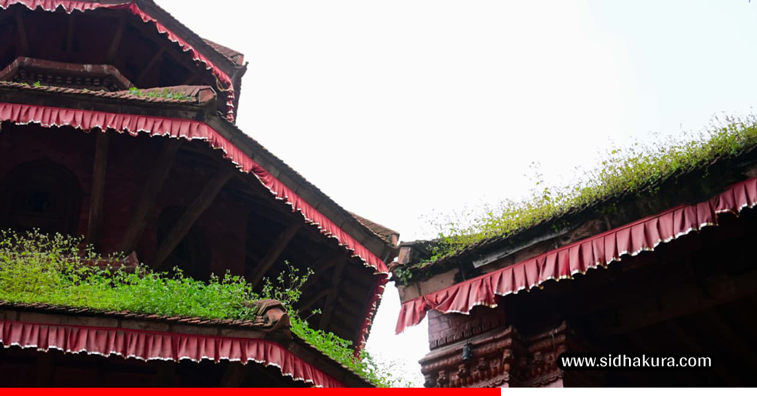 Basantapur-ma-jhar-palayo-10-1755495806.jpg