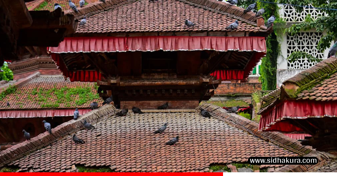 Basantapur-ma-jhar-palayo-7-1755495808.jpg
