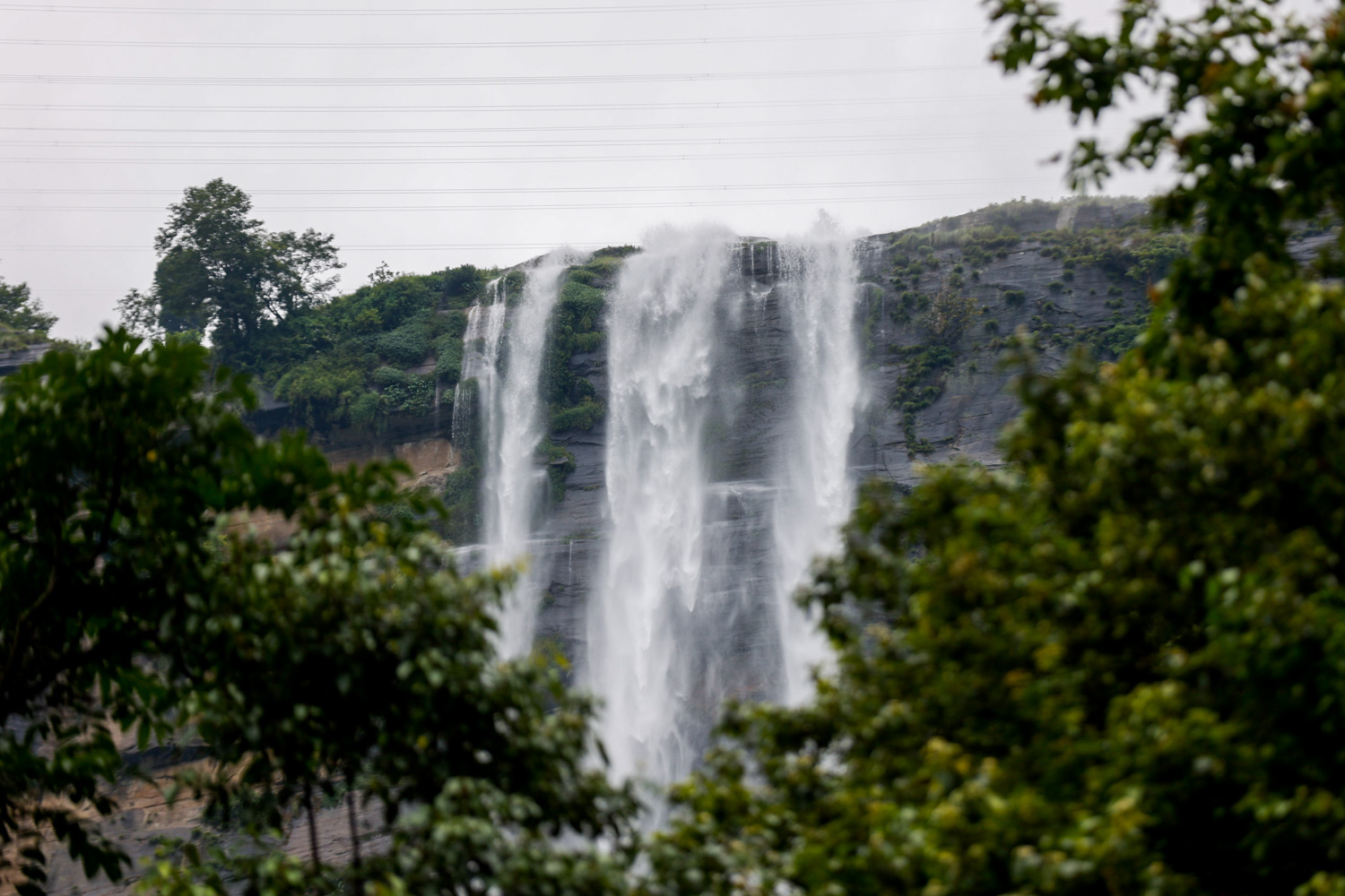 Bhange_Jharna20260713_0003-1784961152.jpg