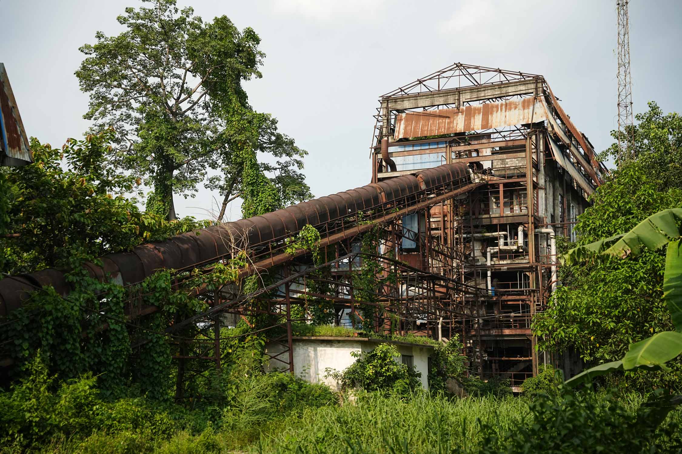 Bhrikuti-Paper-Factory,-Nawalparasi_NPL_15-1783754027.jpg
