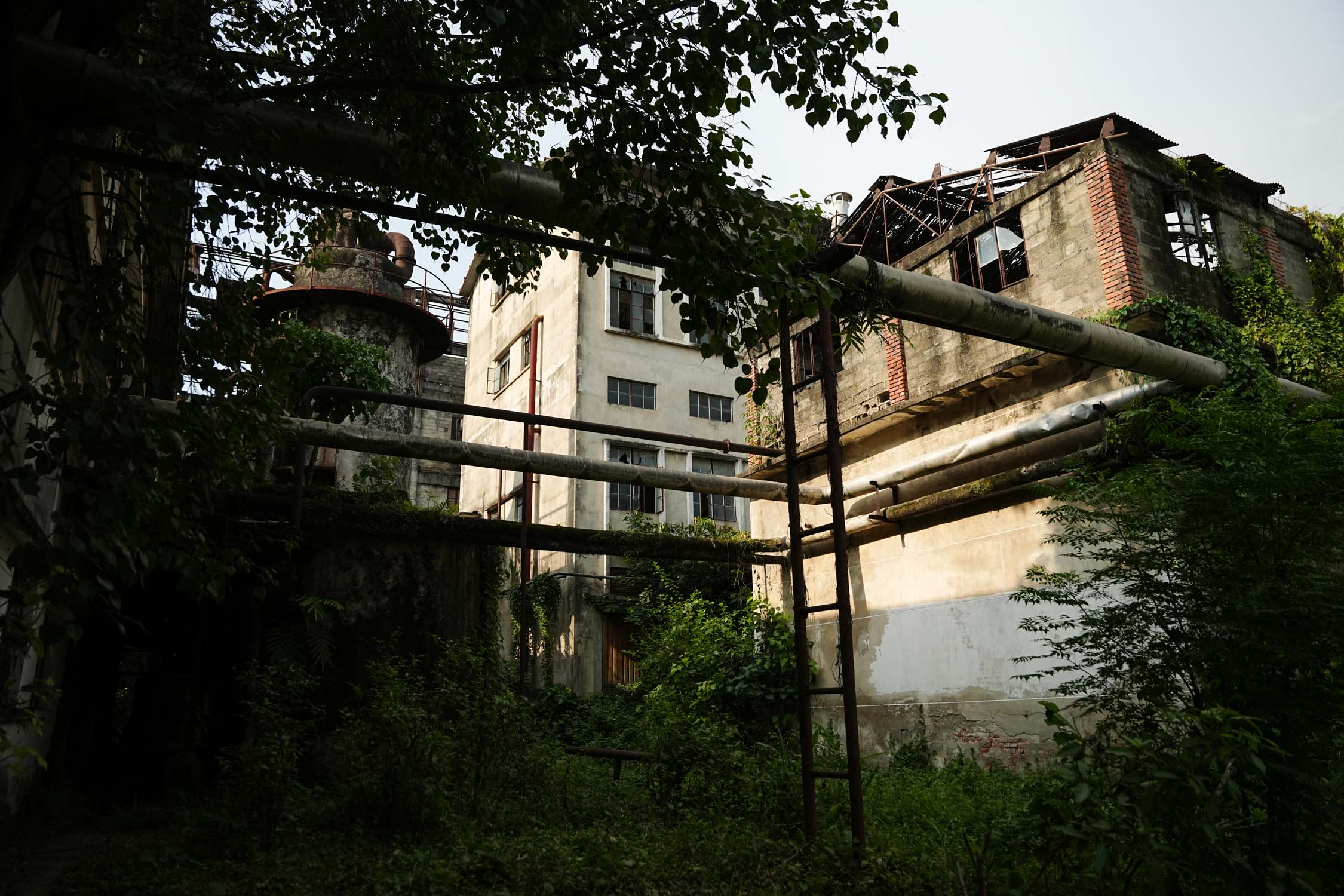 Bhrikuti-Paper-Factory,-Nawalparasi_NPL_9-1783754021.jpg