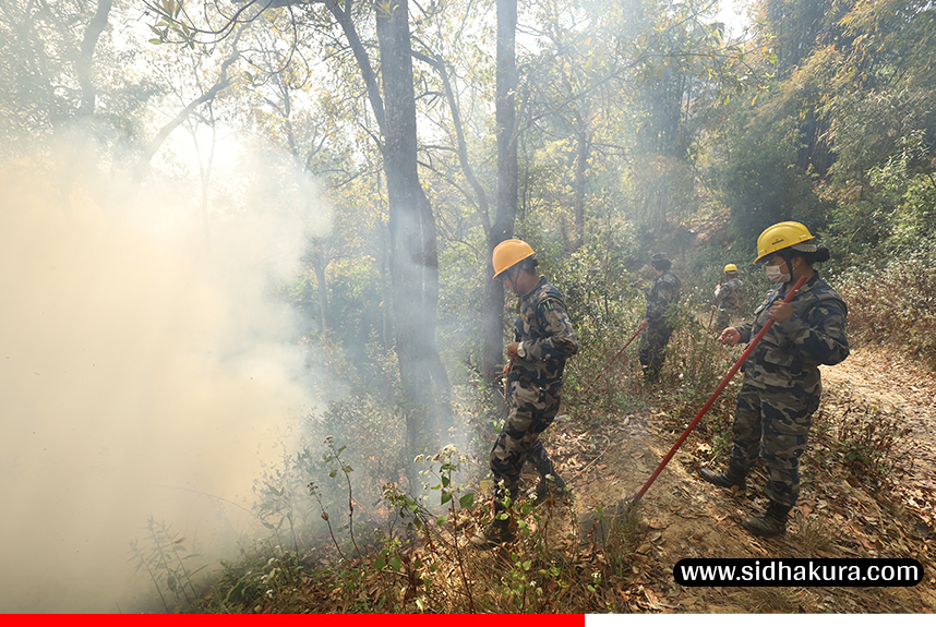 चन्द्रागिरिको आगलागी निभाउन प्रयासरत सुरक्षाकर्मी (तस्विरहरु)