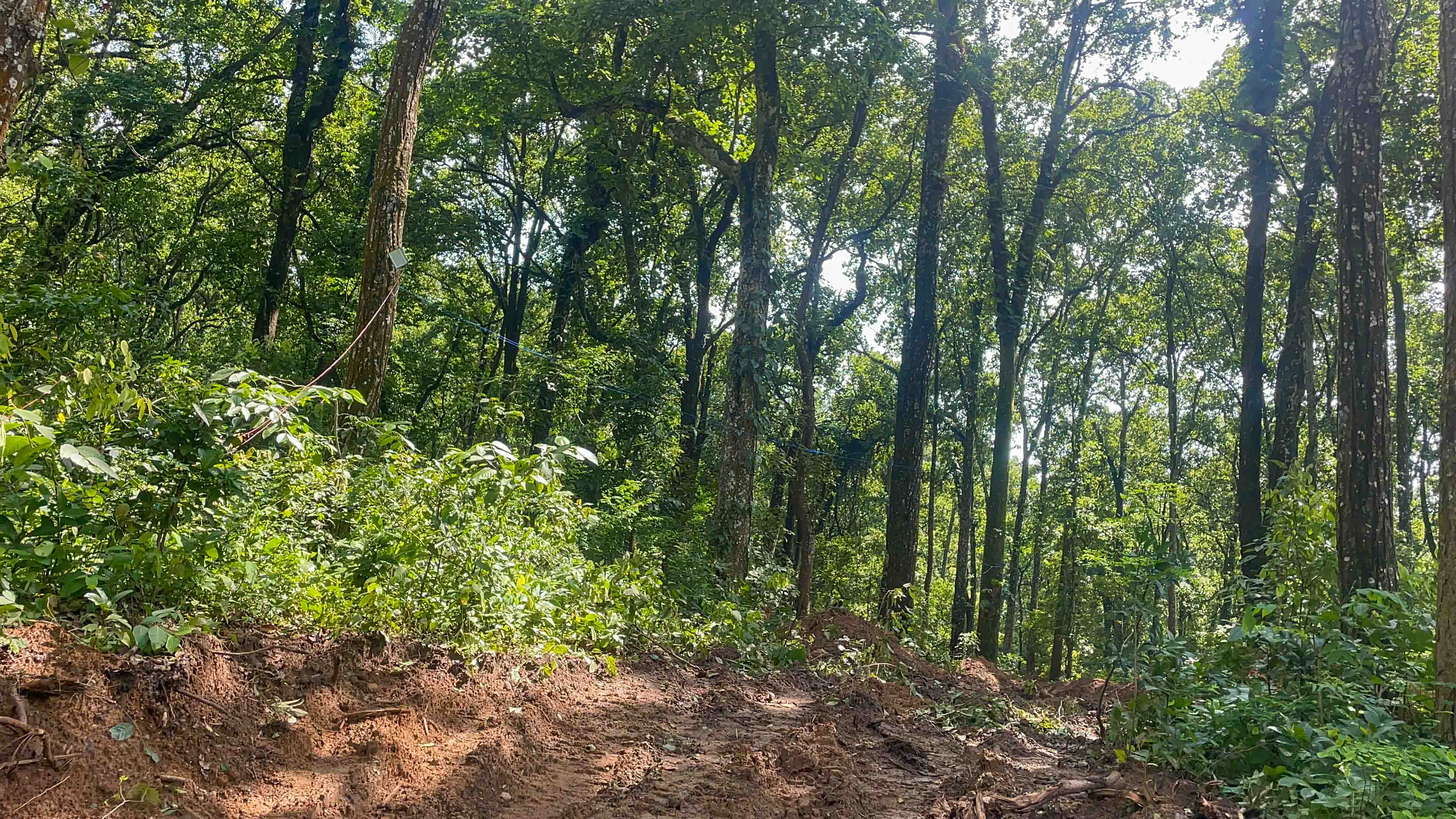 Chitwan-Dead-Body-In-Jungle-(2)-1787995696.JPG