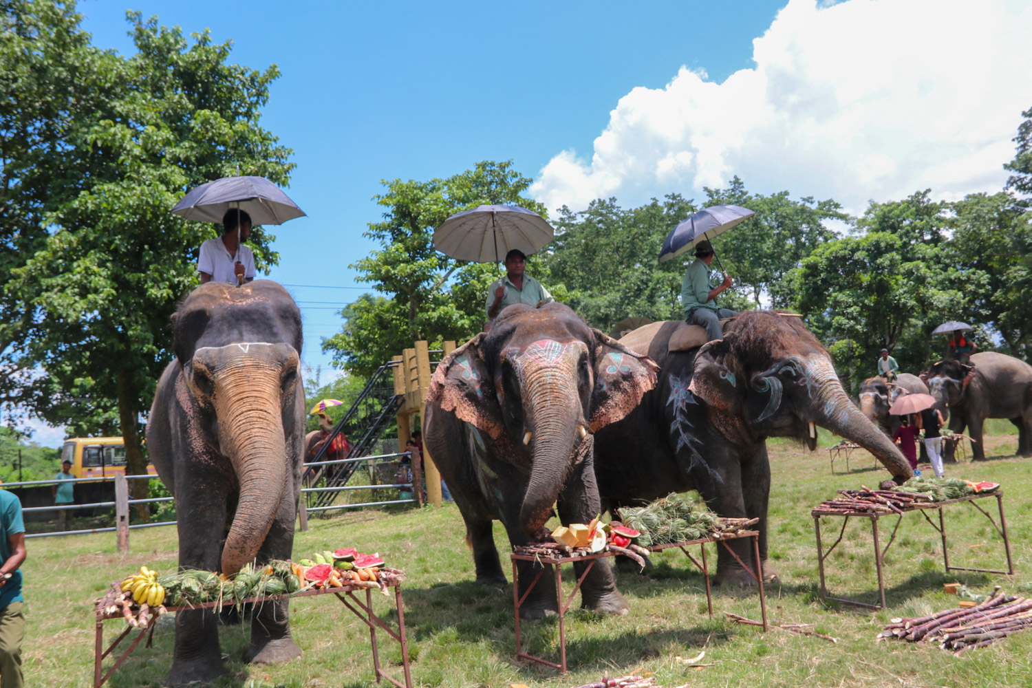 Chitwan-Elephant-Banbhoj-Photo_NPL-(10)-1786532137.JPG