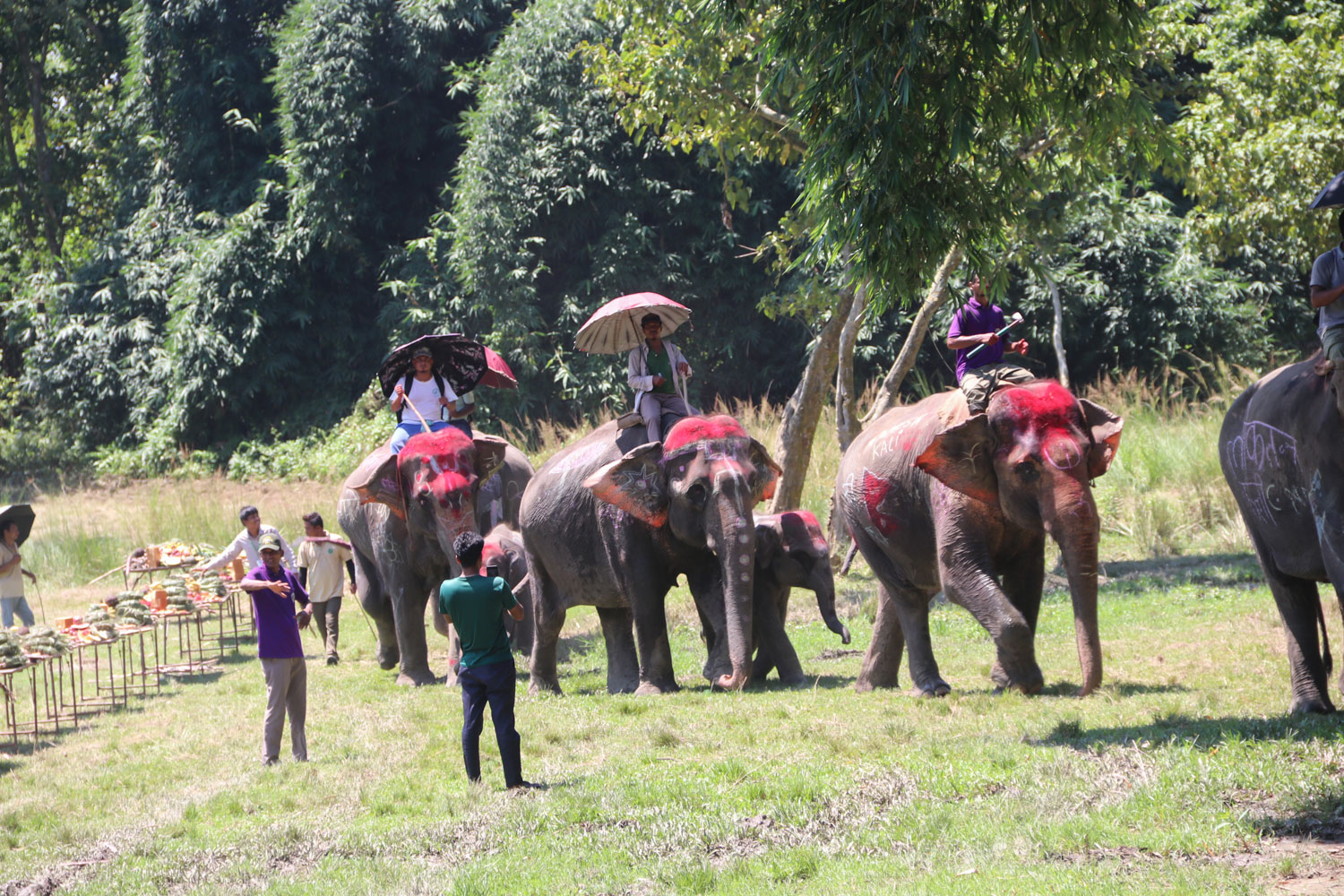 Chitwan-Elephant-Banbhoj-Photo_NPL-(3)-1786532139.JPG