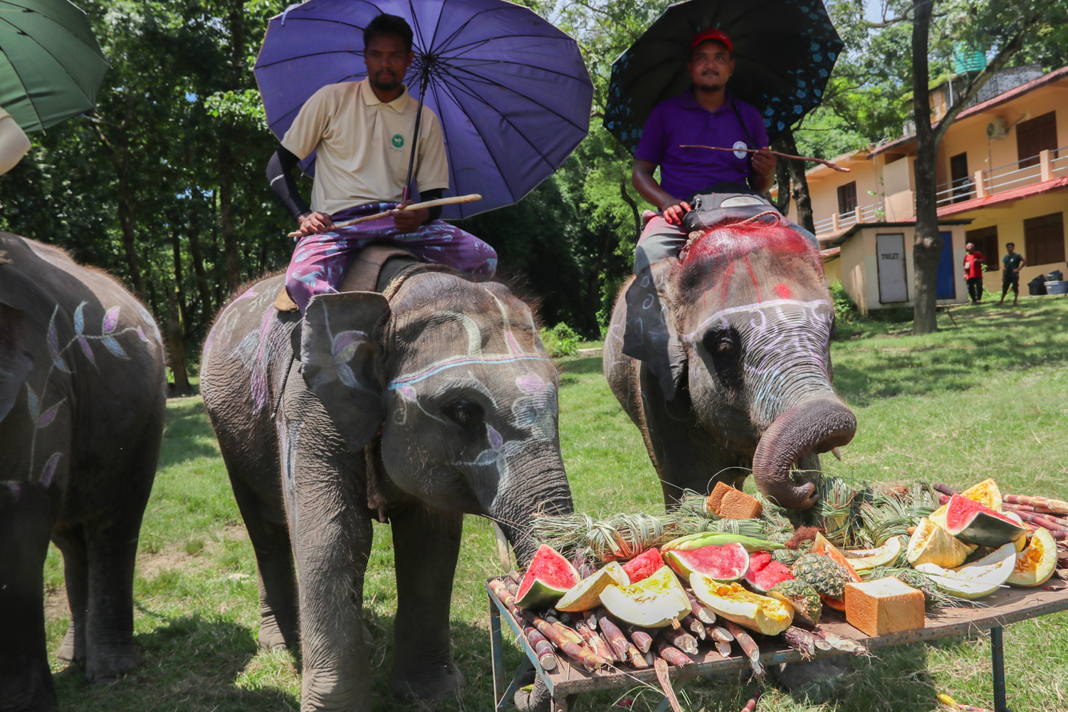 Chitwan-Elephant-Banbhoj-Photo_NPL-(6)-1786532138.JPG