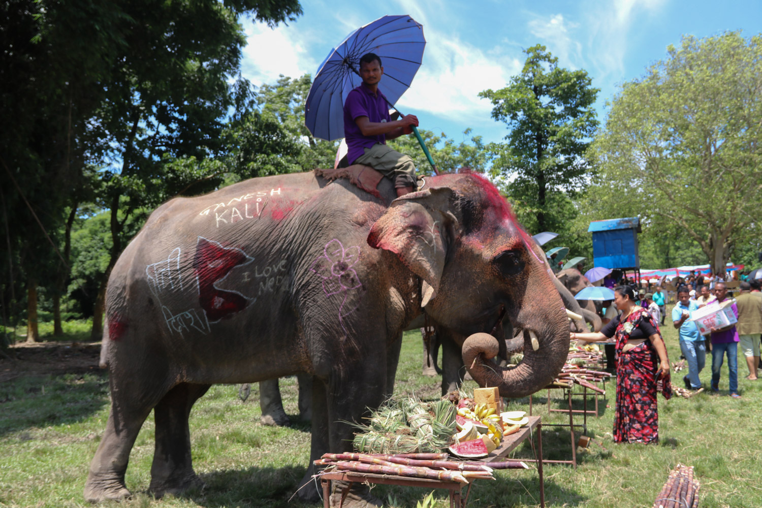 Chitwan-Elephant-Banbhoj-Photo_NPL-(7)-1786532138.JPG
