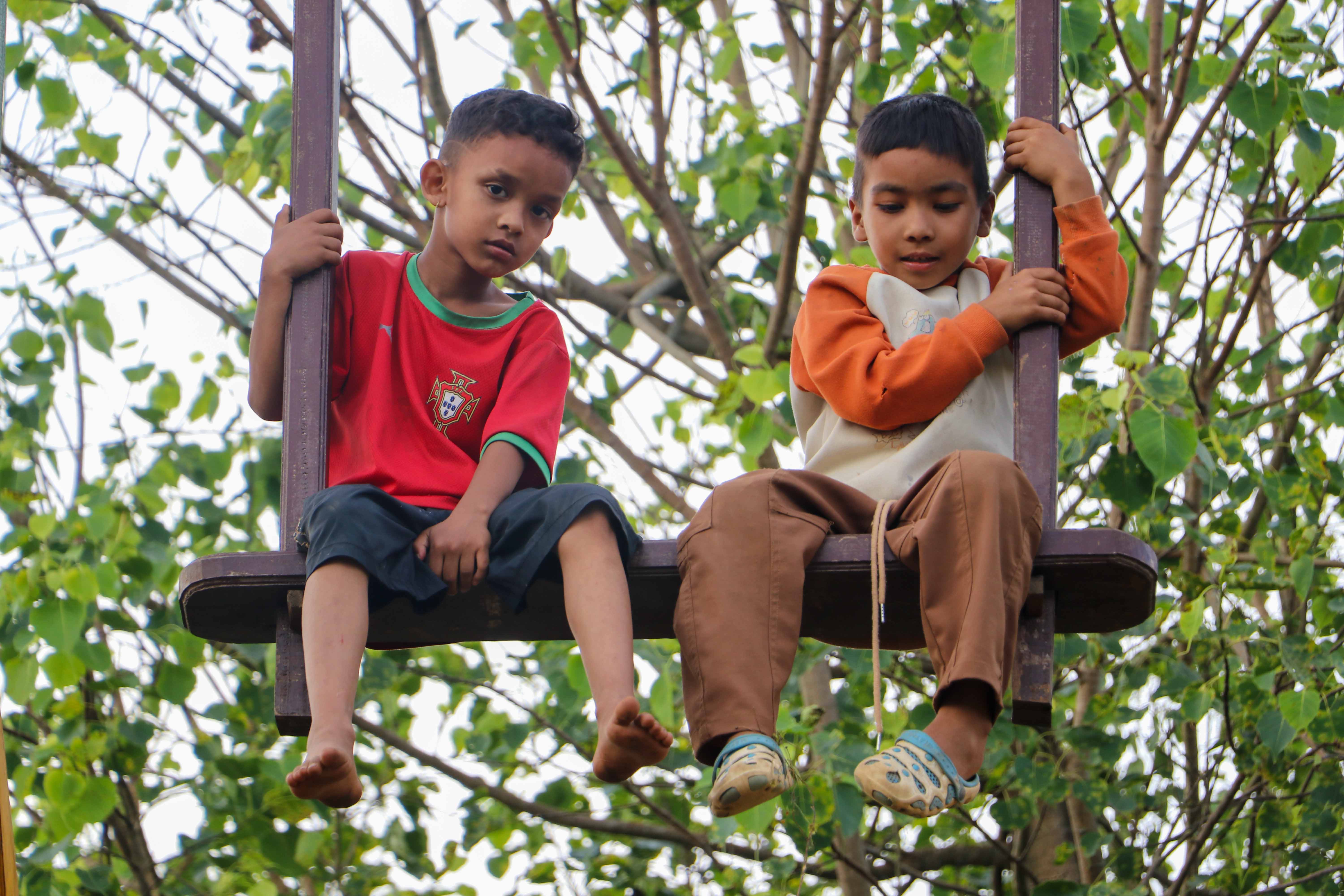 Dashain-Ping-Photos_NPL-13-1792393010.JPG