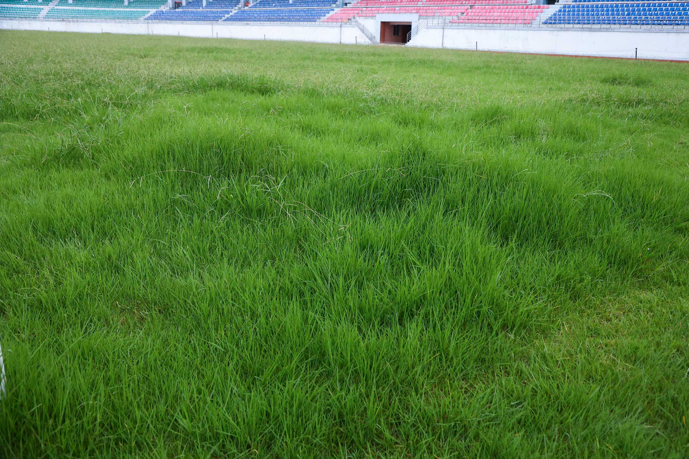 Dashrathstadium_NPL7-1783920680.jpg