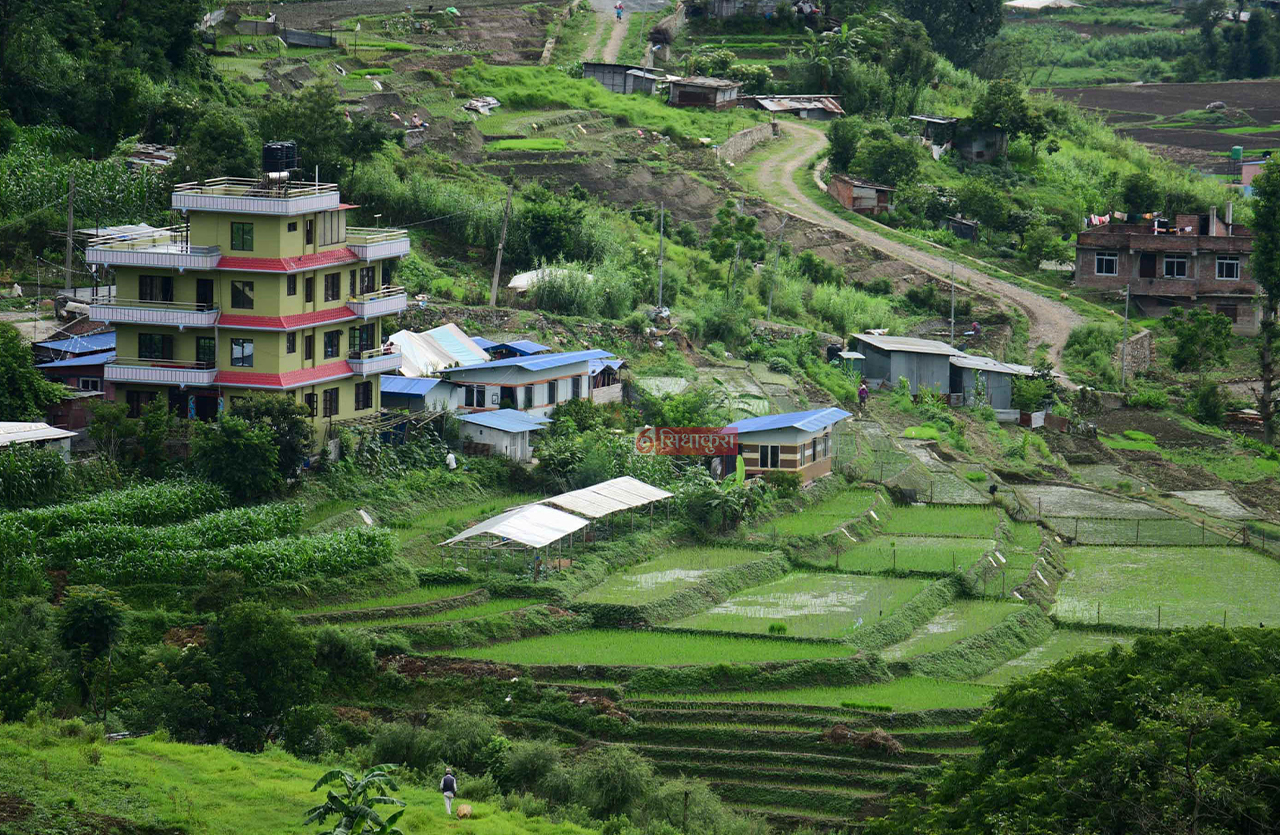 Dhan--Khet-1-1751173512.jpg