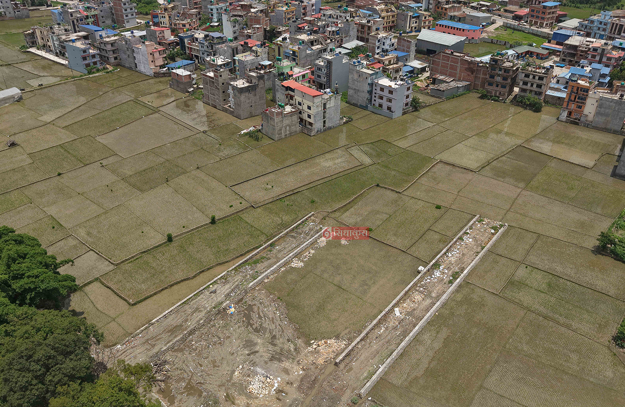 Dhan--Khet-1751173513.jpg