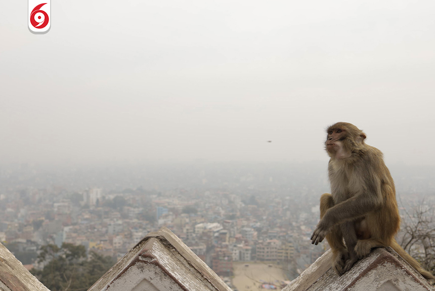 काठमाडौँ आज संसारकै अस्वस्थ सहरमध्ये  छैटौं स्थानमा, एक्यूआई १८५ पुग्यो