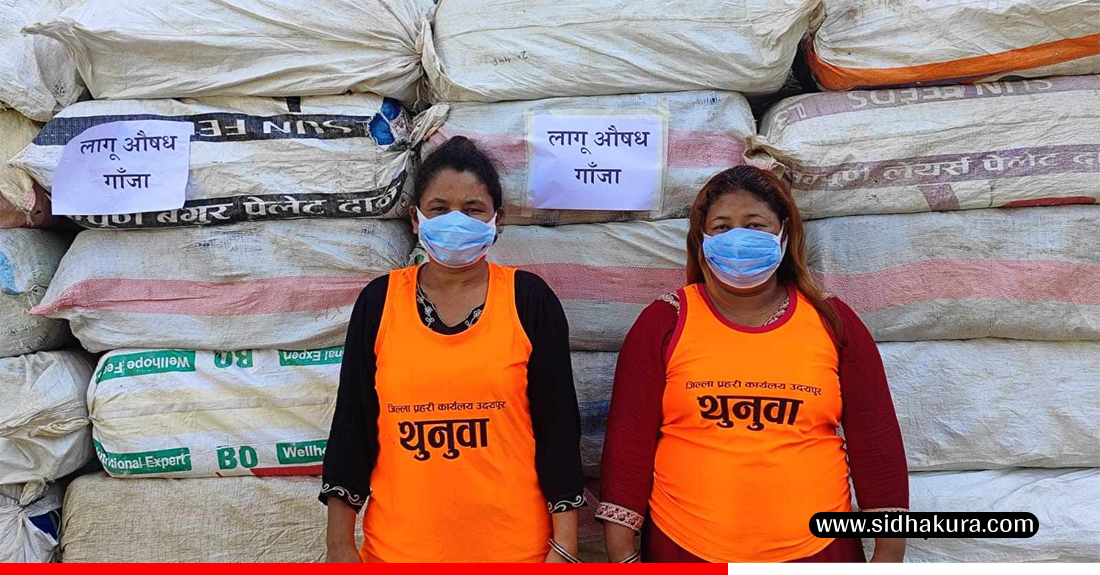 ११ सय ४३ किलो गाँजा सहित २ जना पक्राऊ