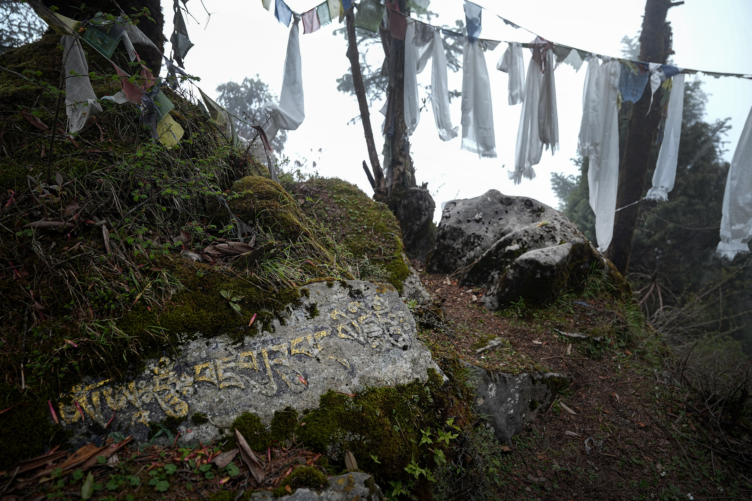 Ghopteghyang-to-Thorepati_Hiking_NPL-PCT_-(1)-1782534677.JPG
