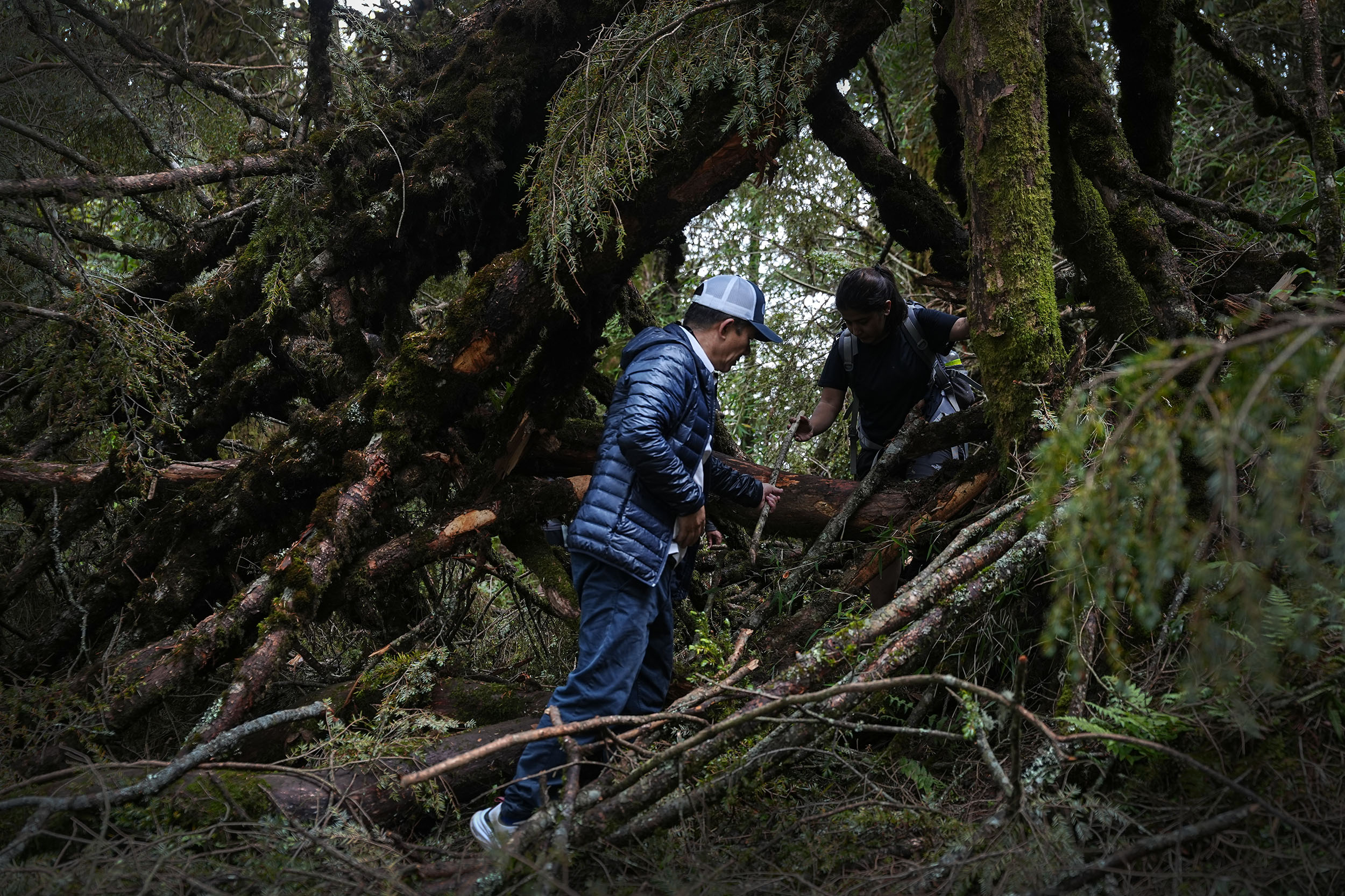 Ghopteghyang-to-Thorepati_Hiking_NPL-PCT_-(13)-1782534686.JPG