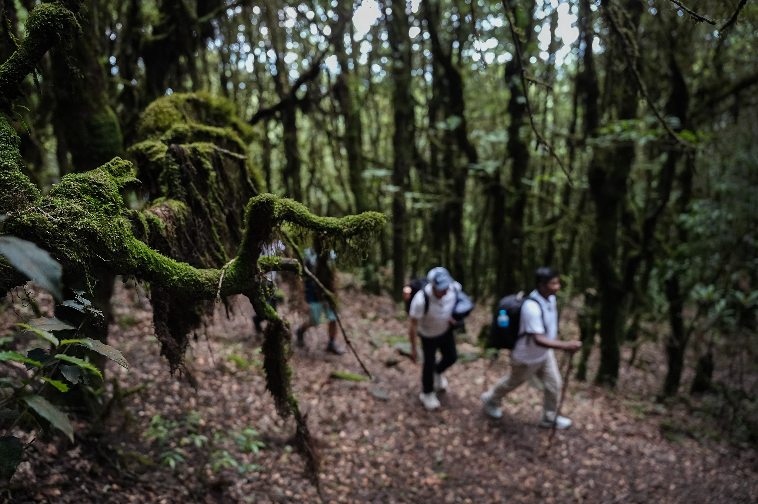 Ghopteghyang-to-Thorepati_Hiking_NPL-PCT_-(8)-1782534681.JPG