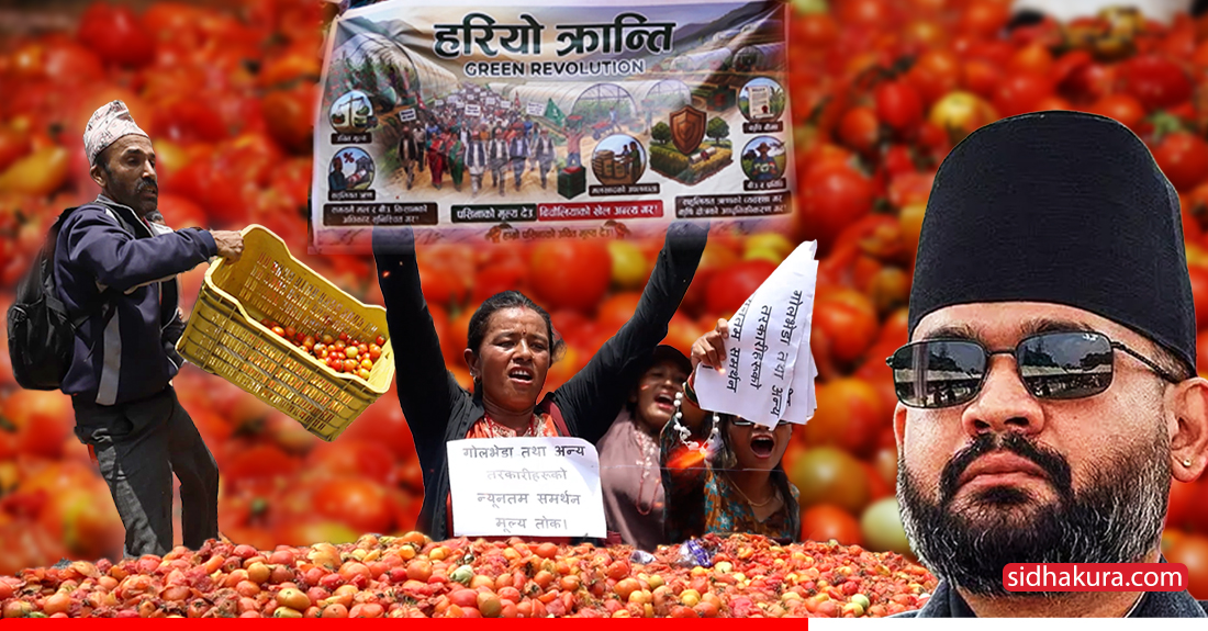 माइतीघरमा गोलभेंडा आन्दोलन