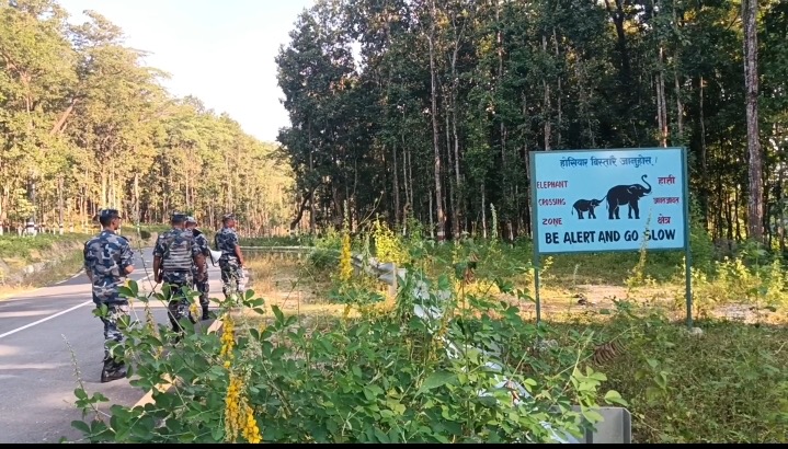 किसानलाई हात्तीबाट धानबाली जोगाउने चिन्ता