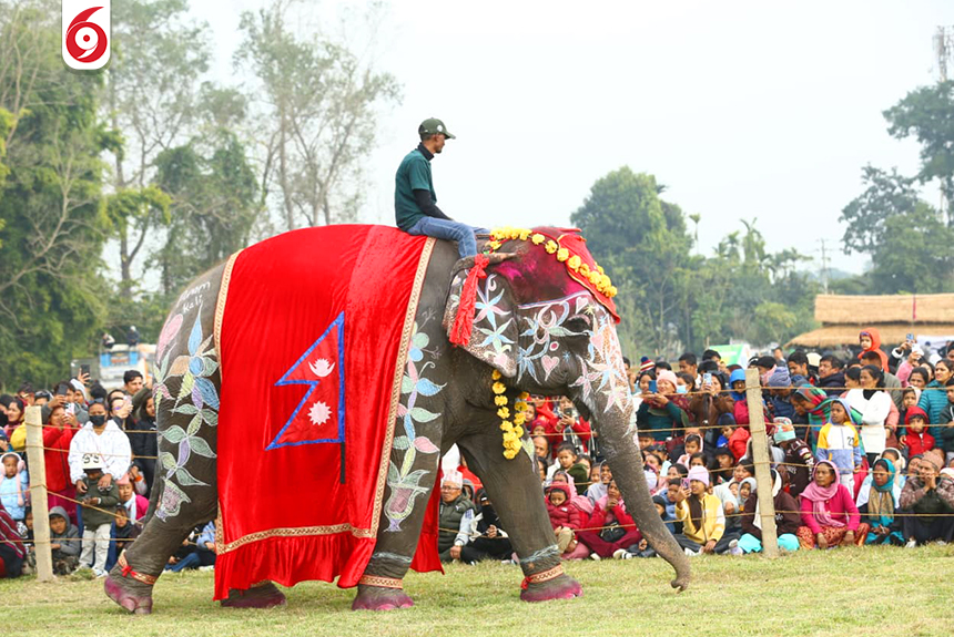 हात्ती सुन्दरी प्रतियोगिताः ४० वर्षकी पुनमकली भइन् प्रथम (तस्बिरहरु)