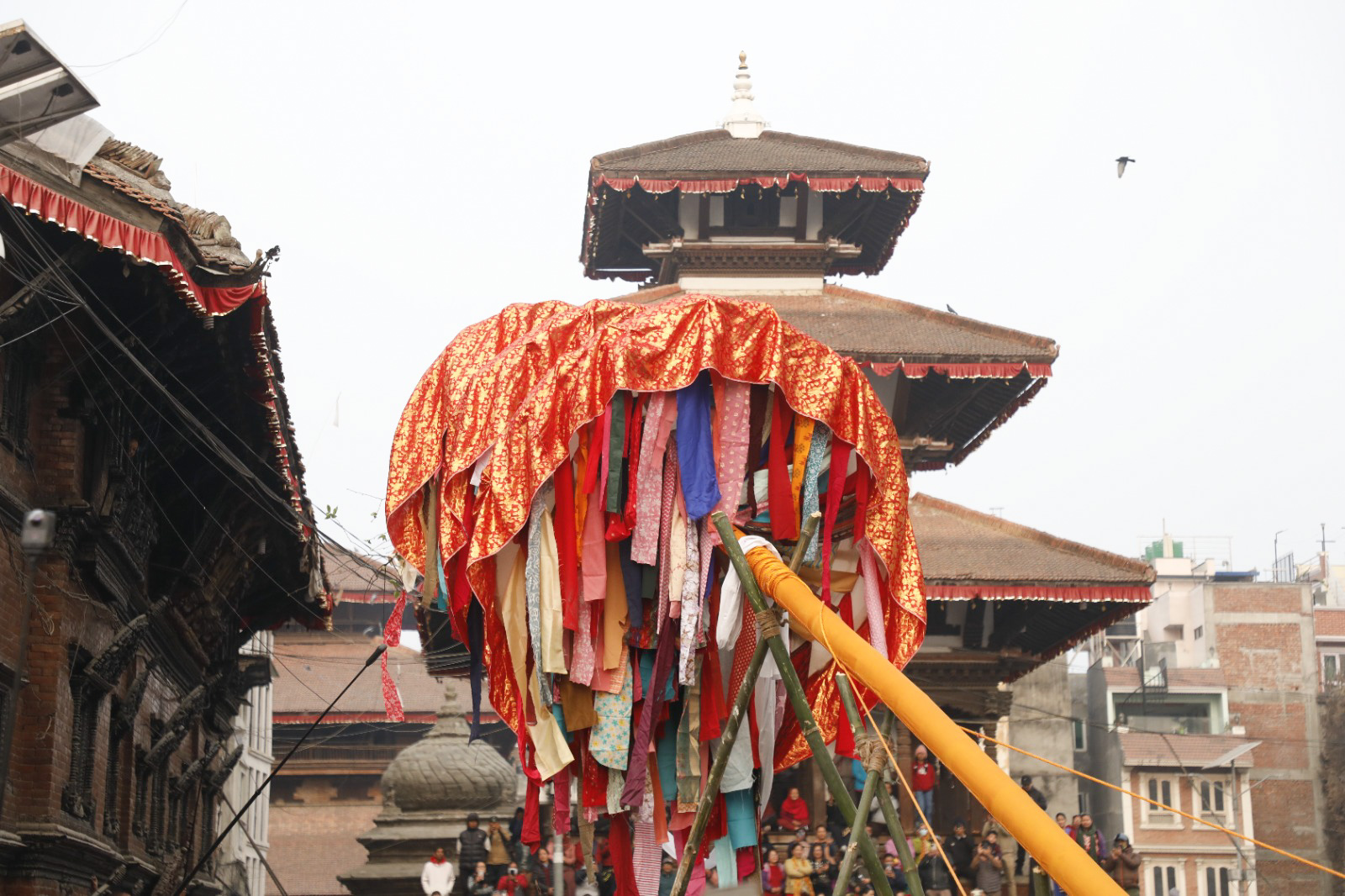 Holi-chir_Basantapur_-111-1771905796.jpg