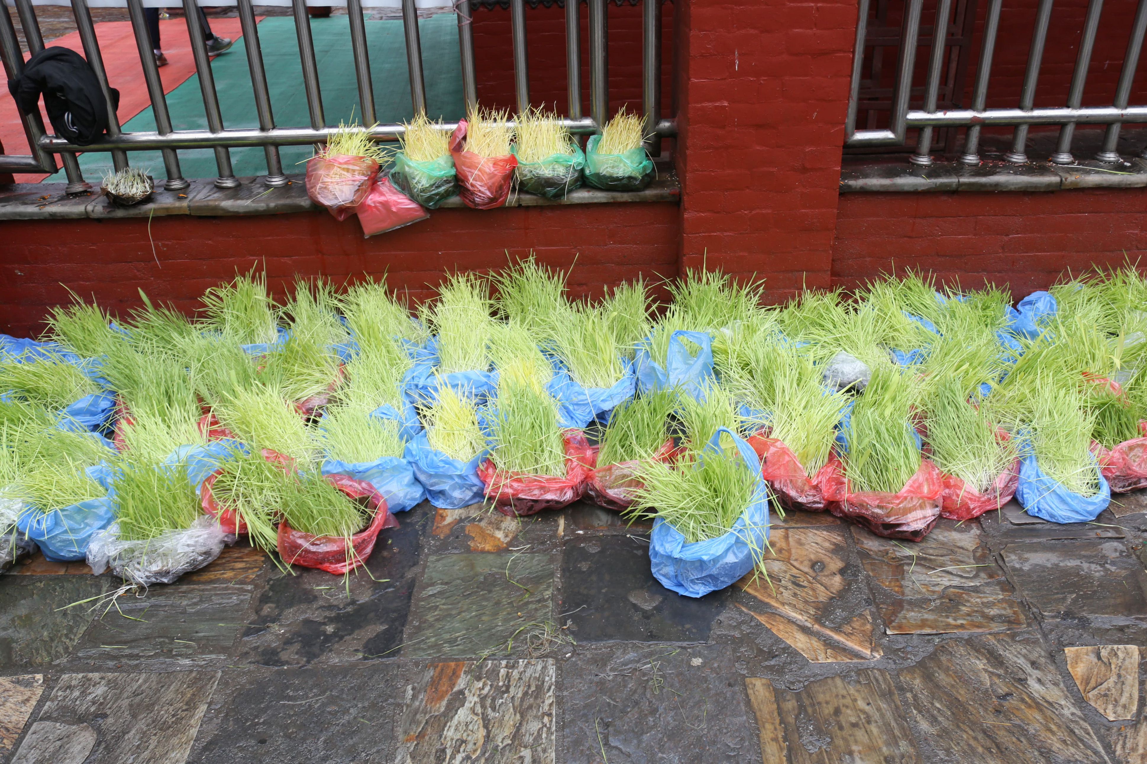 राजधानीको चोक चोकमा जमराको व्यापार