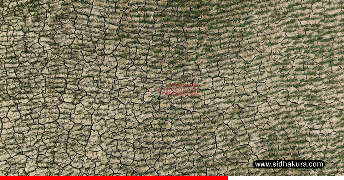 Kaderi-madhes-khet-1-1753513727.jpg
