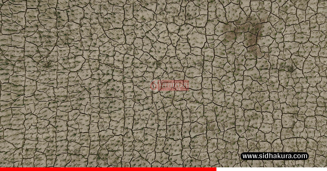 Kaderi-madhes-khet-11-1753513711.jpg