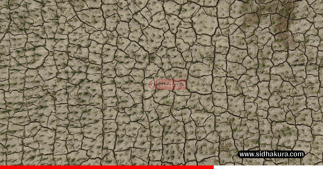 Kaderi-madhes-khet-7-1753513717.jpg