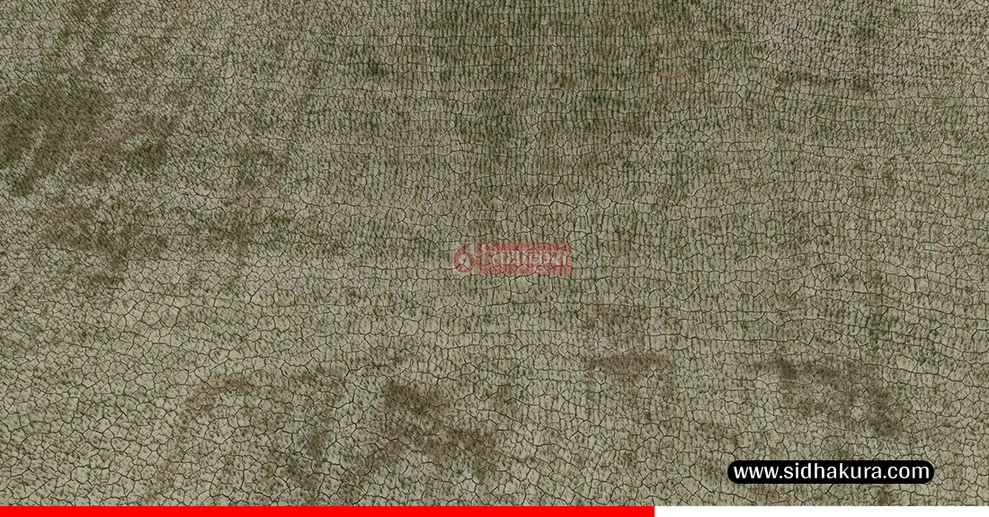 Kaderi-madhes-khet-8-1753513716.jpg